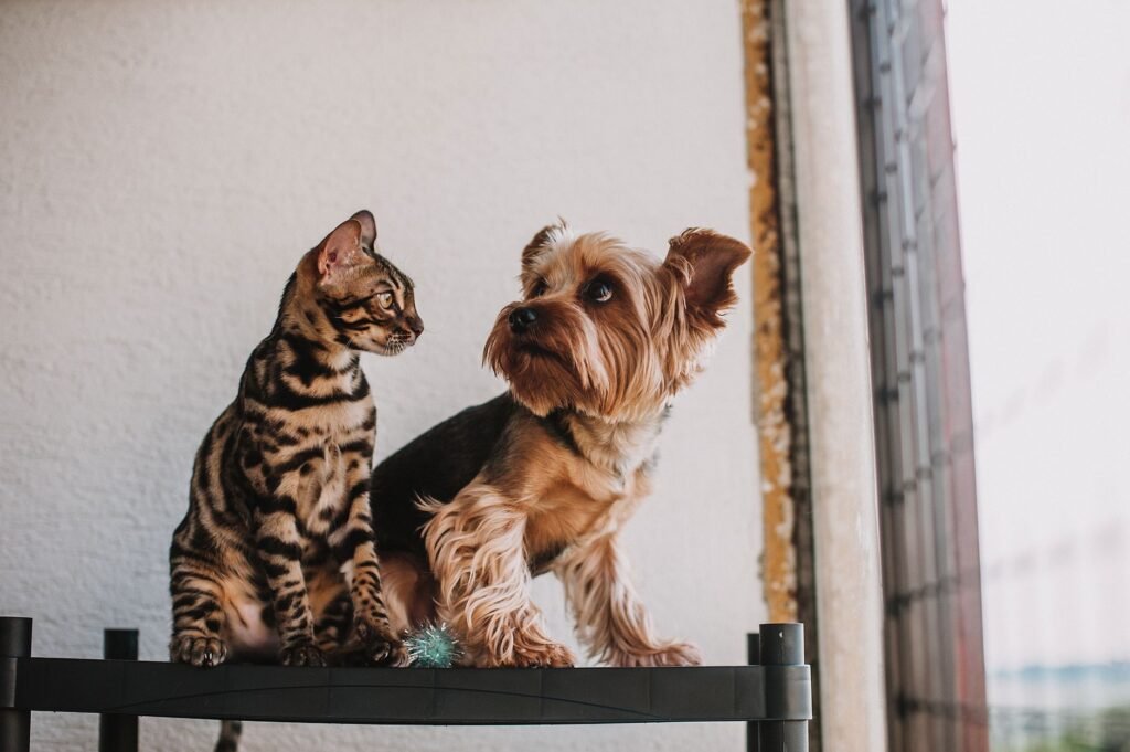 Trupanion Q2 2026: Pet Insurance Revenue Grows 11% to $393M, $100M Buyback Authorized