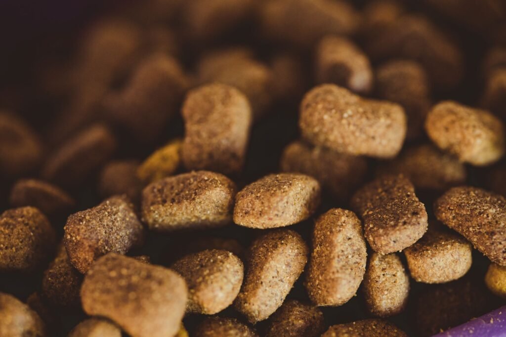 Amcor FY2026: Berry Global Merger Delivers Record $23.5B Revenue, Pet Food Packaging Demand Surges