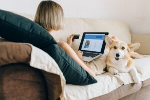 Pet Retail Loyalty Shopping