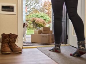 Pet Online Shopping Delivery