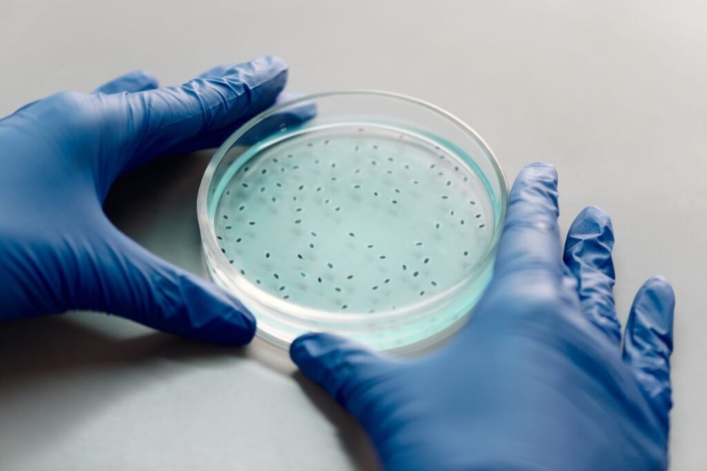 Ever After Foods Acquires Belgium’s Fishway BV in Cultivated-Protein Expansion