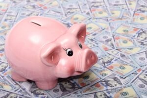 Pet Startup Funding