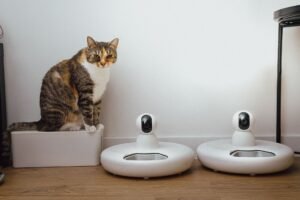 Smart Pet Device Technology