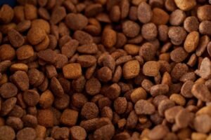 Dog Food Safety Recall